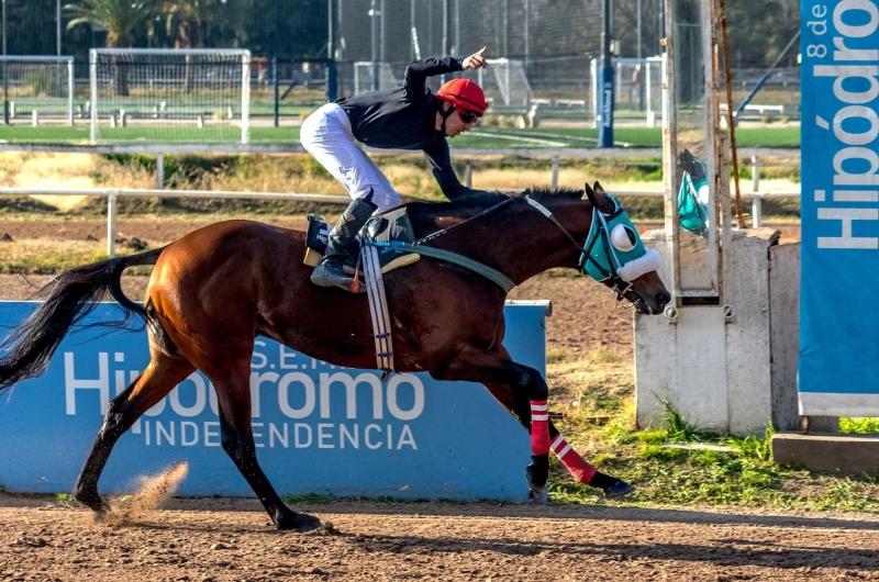 Reunión N°13/2025